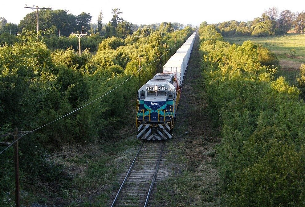 Iniciativa se desarrolló en alianza con Maersk: FEPASA culmina con éxito transporte ferroviario de más de 360 contenedores refrigerados de cerezas para exportación